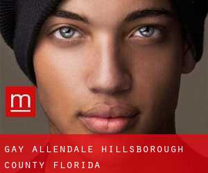 gay Allendale (Hillsborough County, Florida)