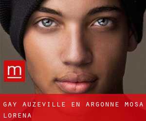 gay Auzéville-en-Argonne (Mosa, Lorena)