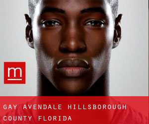 gay Avendale (Hillsborough County, Florida)