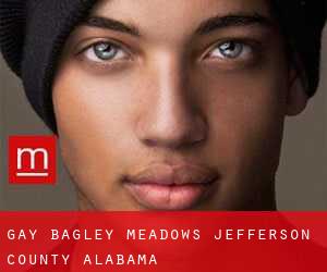 gay Bagley Meadows (Jefferson County, Alabama)