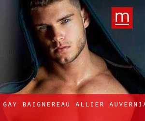 gay Baignereau (Allier, Auvernia)