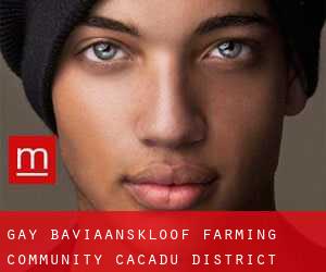 gay Baviaanskloof Farming Community (Cacadu District Municipality, Eastern Cape)