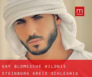 gay Blomesche Wildnis (Steinburg Kreis, Schleswig-Holstein)