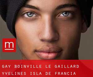 gay Boinville-le-Gaillard (Yvelines, Isla de Francia)