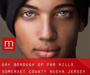gay Borough of Far Hills (Somerset County, Nueva Jersey)