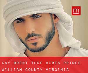 gay Brent Turf Acres (Prince William County, Virginia)