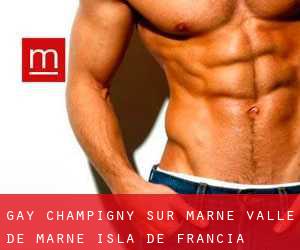 gay Champigny-sur-Marne (Valle de Marne, Isla de Francia)