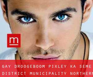 gay Droogeboom (Pixley ka Seme District Municipality, Northern Cape)