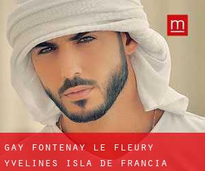 gay Fontenay-le-Fleury (Yvelines, Isla de Francia)