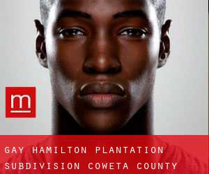 gay Hamilton Plantation Subdivision (Coweta County, Georgia)