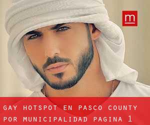 Gay Hotspot en Pasco County por municipalidad - página 1