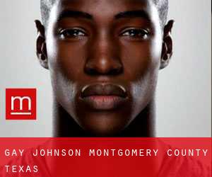 gay Johnson (Montgomery County, Texas)