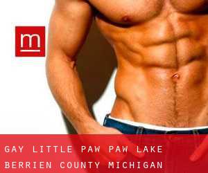 gay Little Paw Paw Lake (Berrien County, Michigan)