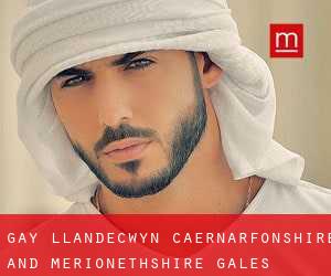 gay Llandecwyn (Caernarfonshire and Merionethshire, Gales)
