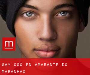 Gay Oso en Amarante do Maranhão
