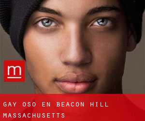 Gay Oso en Beacon Hill (Massachusetts)