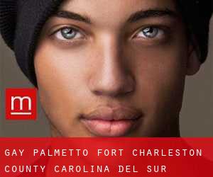 gay Palmetto Fort (Charleston County, Carolina del Sur)