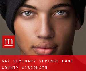 gay Seminary Springs (Dane County, Wisconsin)
