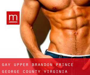 gay Upper Brandon (Prince George County, Virginia)