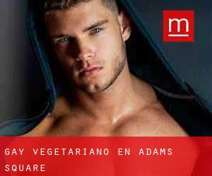 Gay Vegetariano en Adams Square