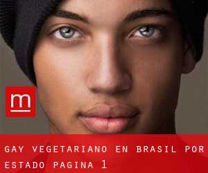 Gay Vegetariano en Brasil por Estado - página 1