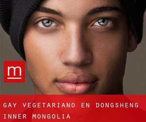 Gay Vegetariano en Dongsheng (Inner Mongolia)