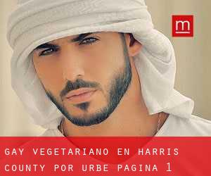 Gay Vegetariano en Harris County por urbe - página 1