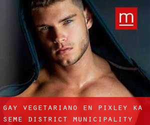 Gay Vegetariano en Pixley ka Seme District Municipality