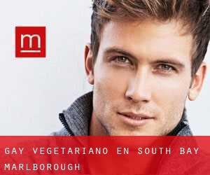 Gay Vegetariano en South Bay (Marlborough)