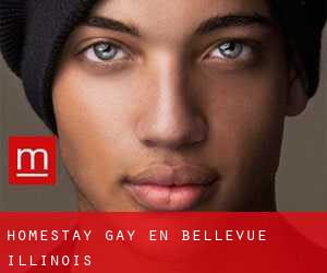Homestay Gay en Bellevue (Illinois)