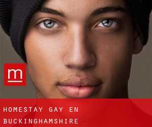 Homestay Gay en Buckinghamshire