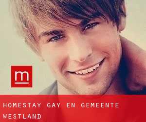 Homestay Gay en Gemeente Westland
