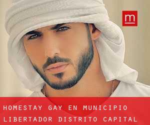Homestay Gay en Municipio Libertador (Distrito Capital)