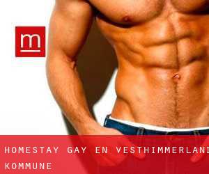 Homestay Gay en Vesthimmerland Kommune