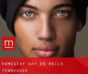 Homestay Gay en Wells (Tennessee)