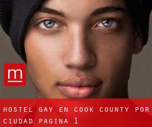 Hostel Gay en Cook County por ciudad - página 1