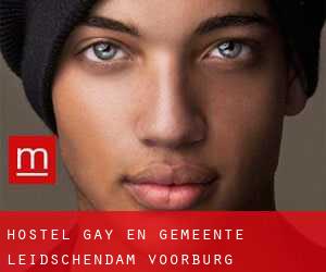 Hostel Gay en Gemeente Leidschendam-Voorburg
