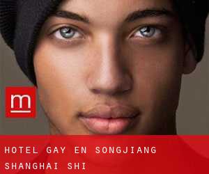 Hotel Gay en Songjiang (Shanghai Shi)