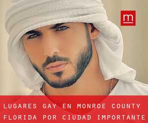 lugares gay en Monroe County Florida por ciudad importante - página 1
