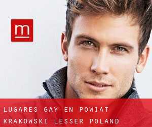 lugares gay en Powiat krakowski (Lesser Poland Voivodeship) por localidad - página 1