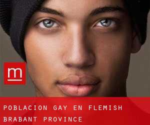 Población Gay en Flemish Brabant Province
