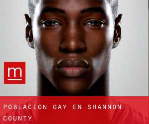 Población Gay en Shannon County