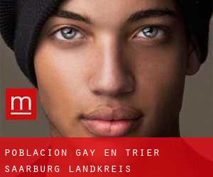 Población Gay en Trier-Saarburg Landkreis