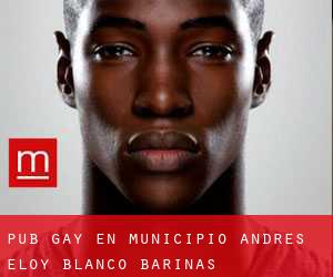 Pub Gay en Municipio Andrés Eloy Blanco (Barinas)