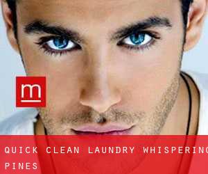 Quick Clean Laundry - (Whispering Pines)
