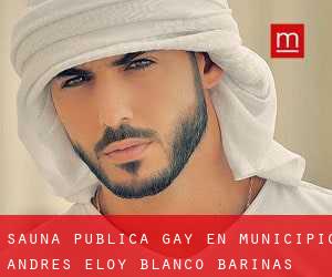 Sauna Pública Gay en Municipio Andrés Eloy Blanco (Barinas)