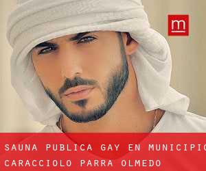 Sauna Pública Gay en Municipio Caracciolo Parra Olmedo