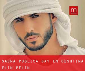Sauna Pública Gay en Obshtina Elin Pelin
