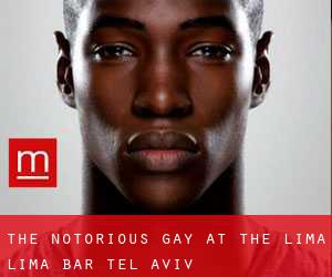 THE NOTORIOUS G.A.Y at the Lima Lima Bar (Tel Aviv)